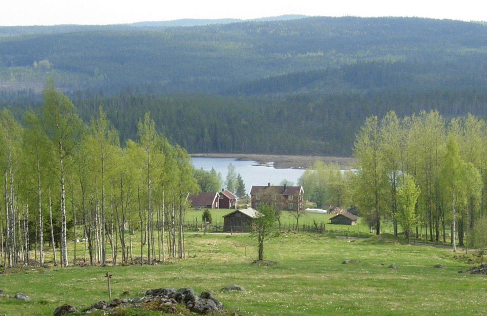 Rikkenstorp 2012